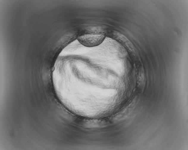 X0000112490473200908311435