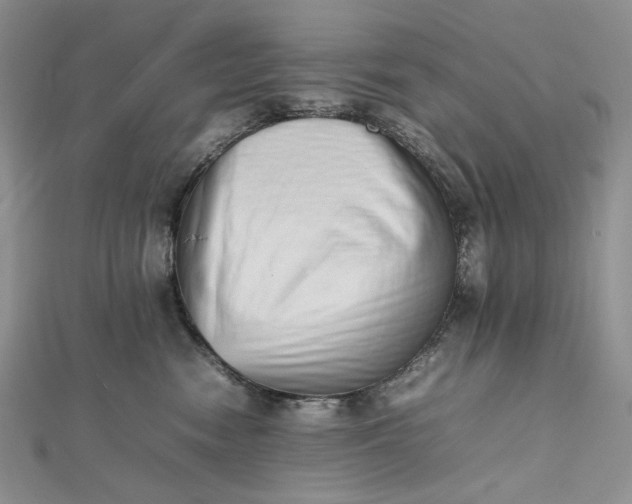 X0000112490474200908311435