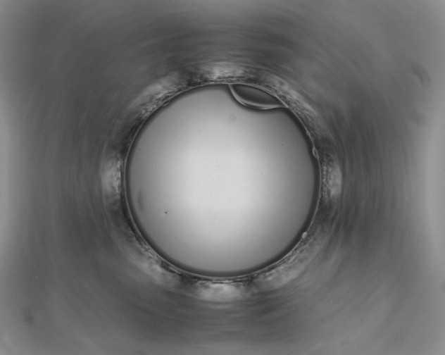 X0000112490475200908311435