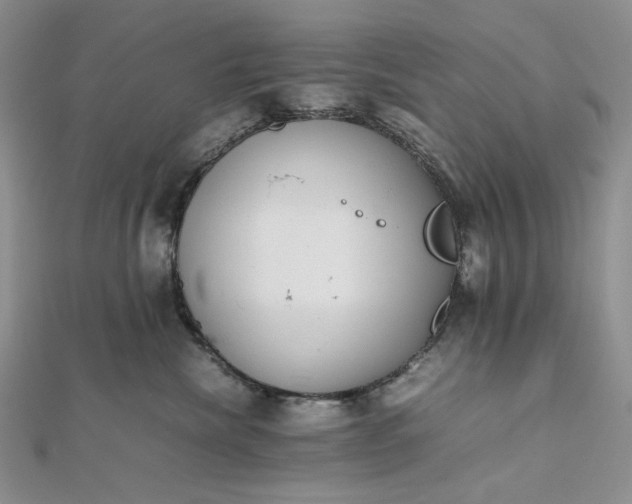 X0000112490476200908311435