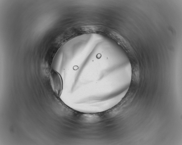 X0000112490477200908311436