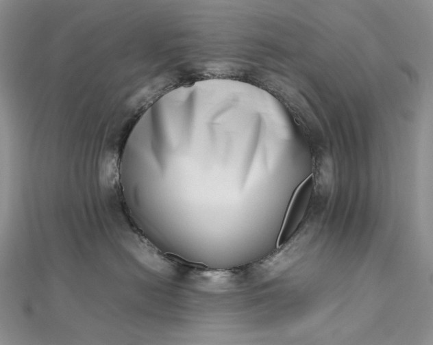 X0000112490478200908311436