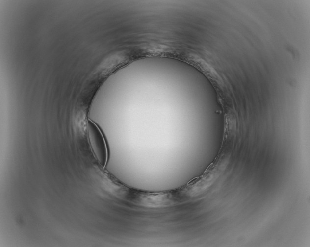 X0000112490479200908311436