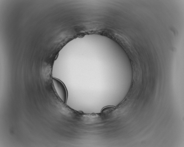 X0000112490480200908311436