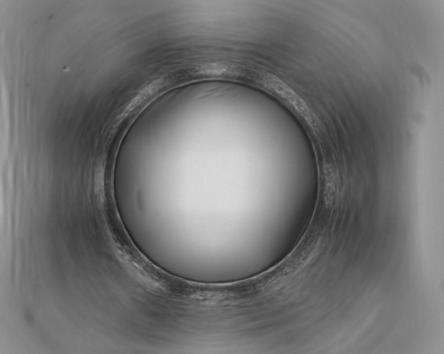 X0000112490482200908311435