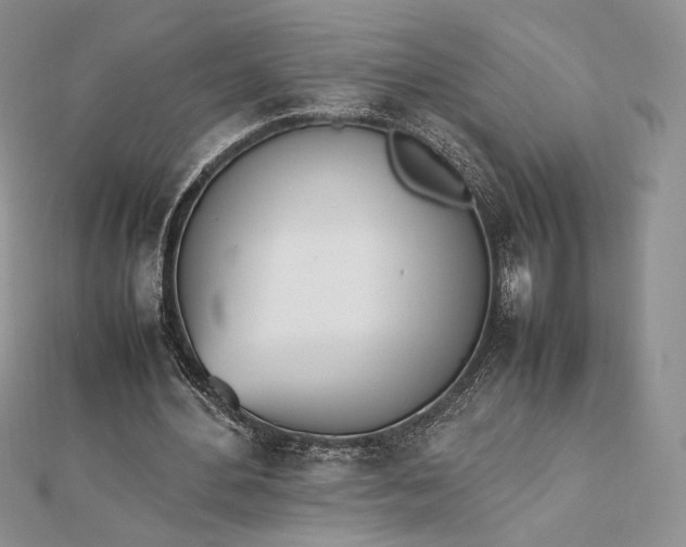 X0000112490484200908311435