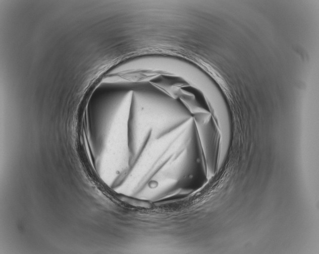 X0000112490485200908311435