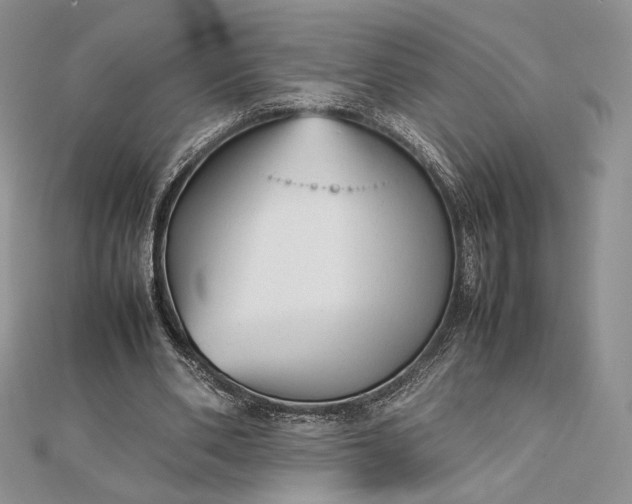 X0000112490486200908311435