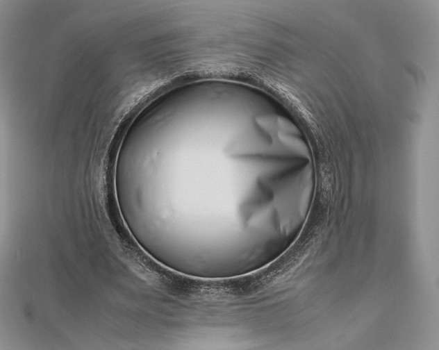 X0000112490487200908311435