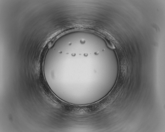 X0000112490488200908311435