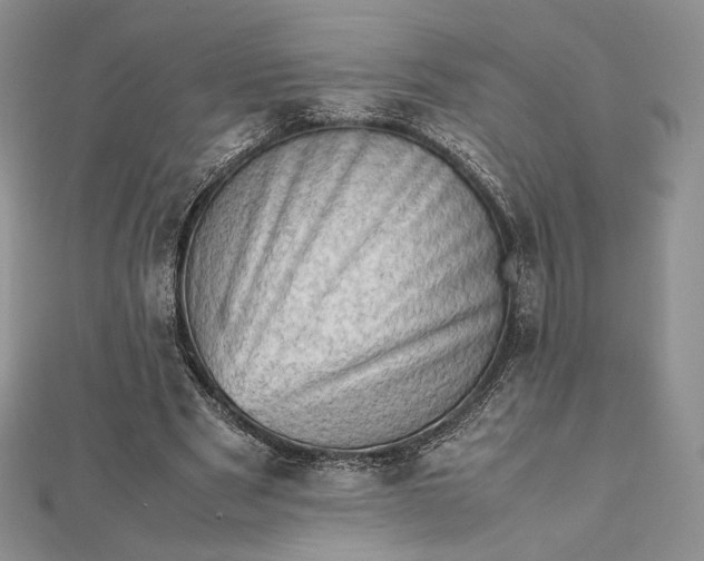 X0000112490489200908311435