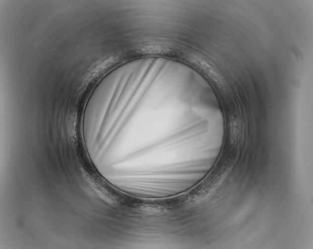 X0000112490490200908311435