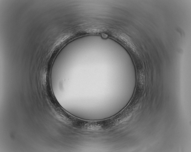 X0000112490491200908311435