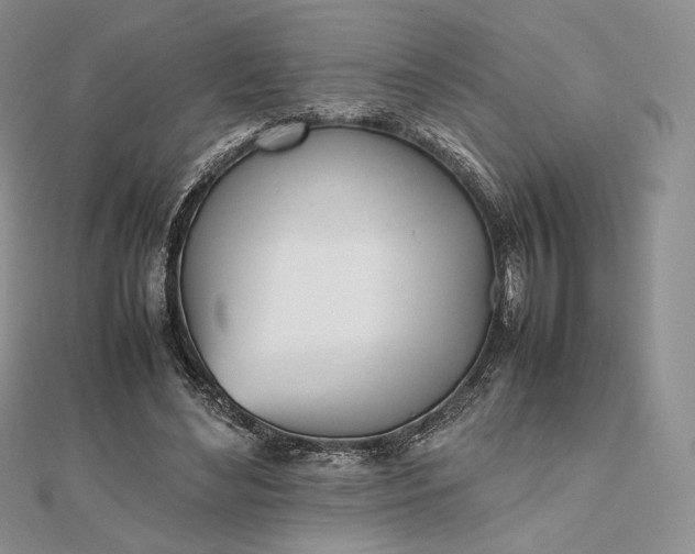 X0000112490492200908311435