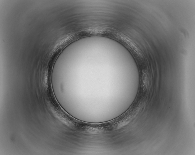 X0000112490494200908311435