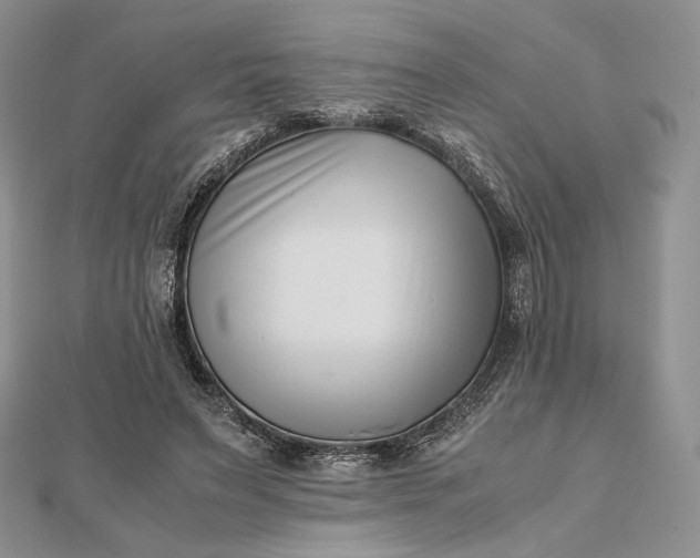 X0000112490495200908311435