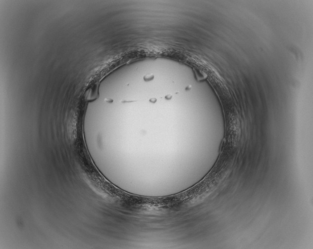 X0000112490496200908311435