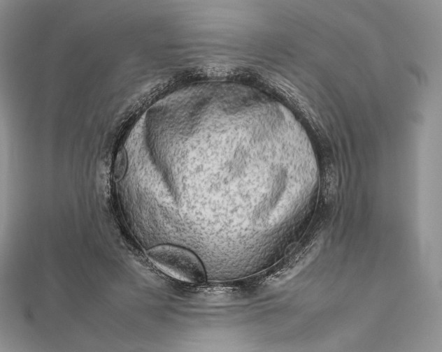 X0000112490497200908311435