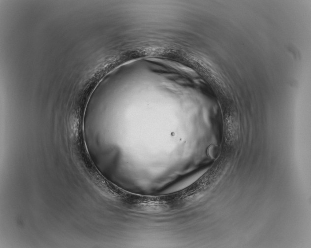 X0000112490499200908311435