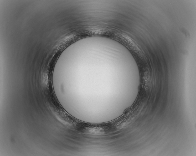 X0000112490500200908311435