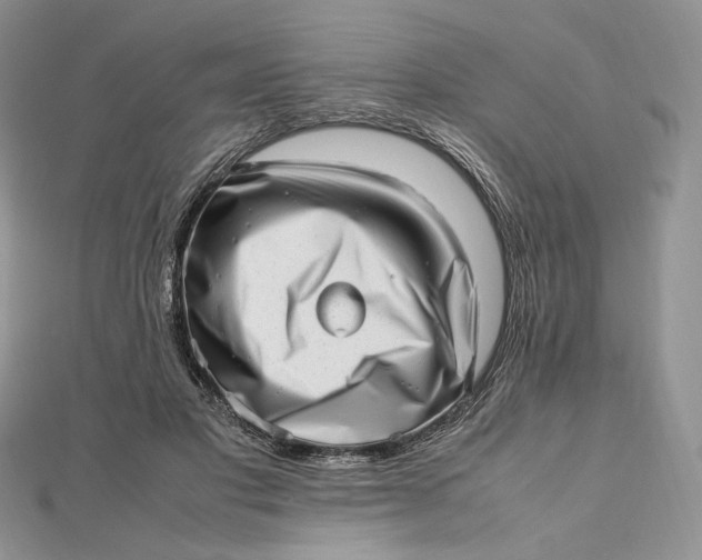 X0000112490501200908311435