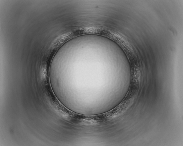 X0000112490502200908311435