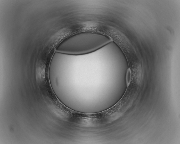 X0000112490504200908311435