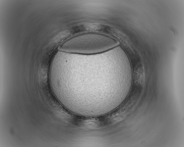 X0000112490505200908311435