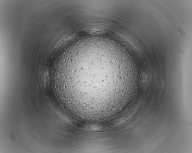 X0000112490506200908311435