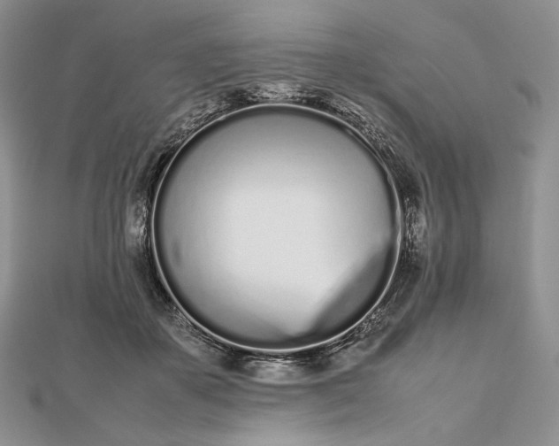 X0000112490507200908311435