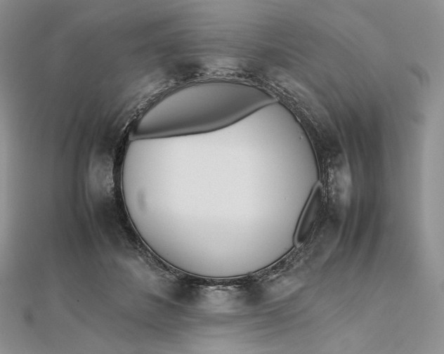 X0000112490508200908311435