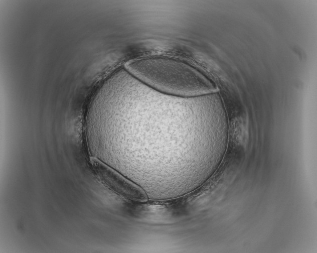 X0000112490509200908311435