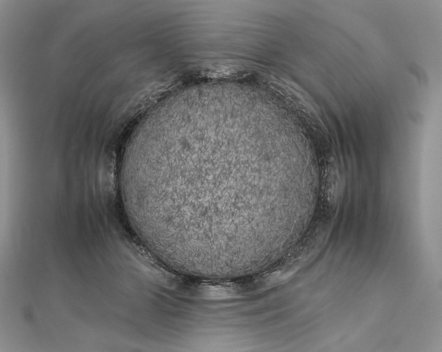 X0000112490510200908311435