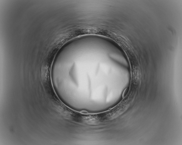 X0000112490511200908311435