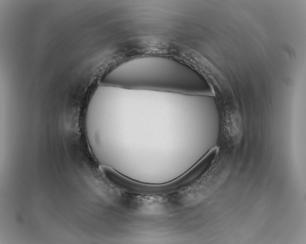 X0000112490512200908311435