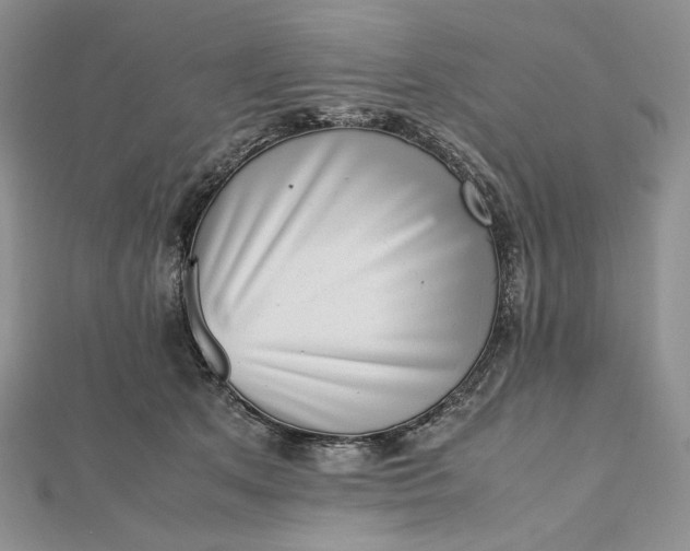 X0000112490513200908311435