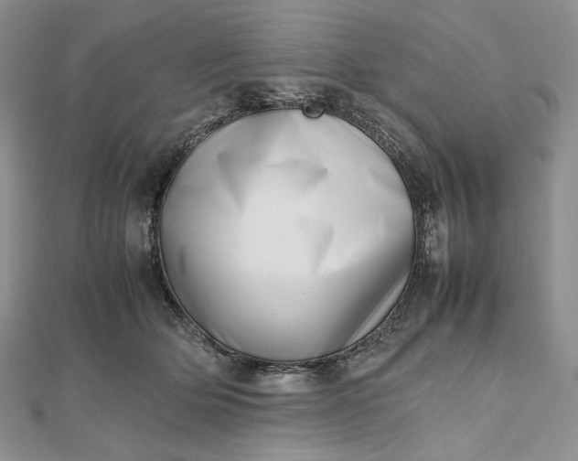 X0000112490514200908311435