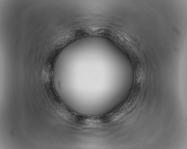 X0000112490515200908311434