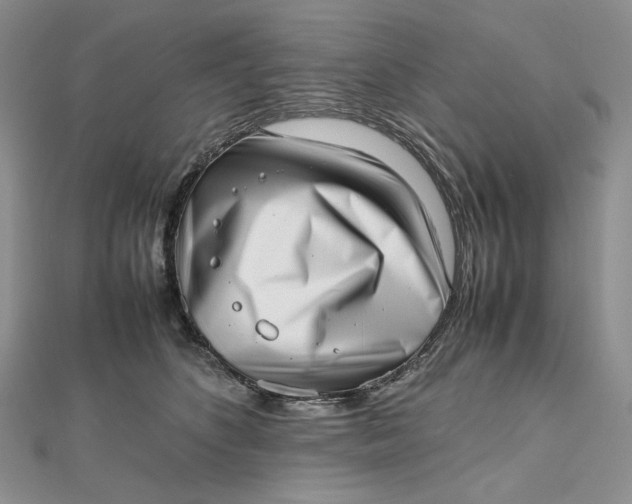 X0000112490516200908311434