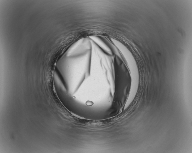 X0000112490517200908311434