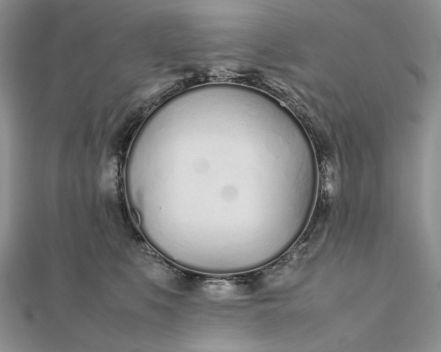 X0000112490519200908311434