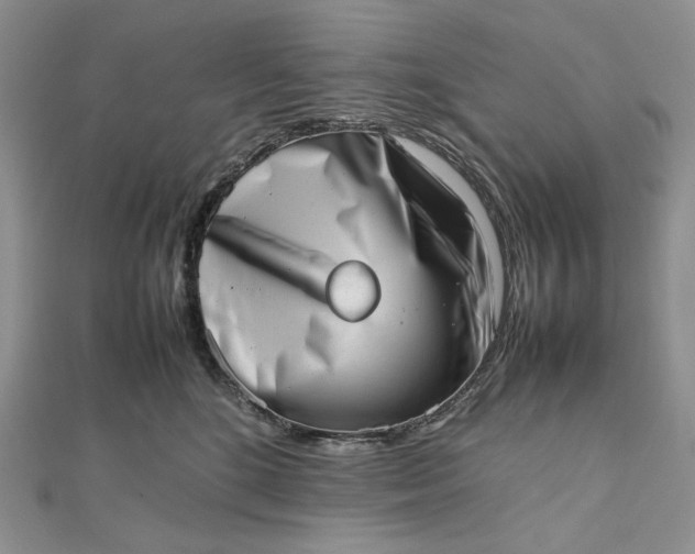 X0000112490520200908311434