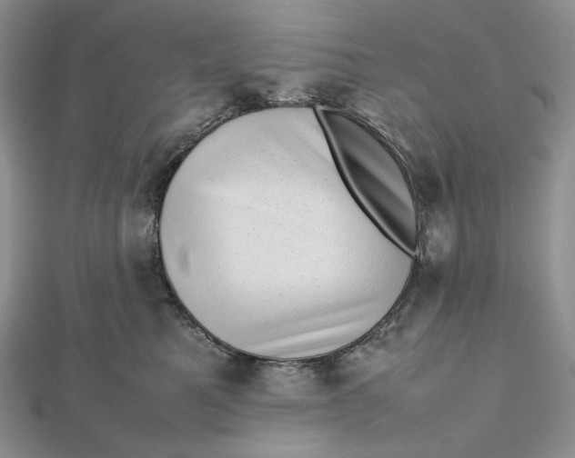 X0000112490521200908311434