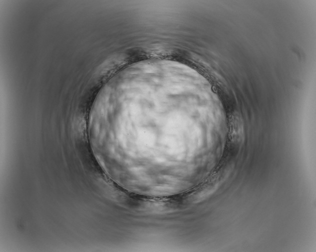 X0000112490523200908311434