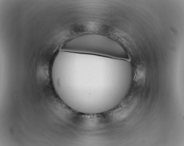 X0000112490524200908311434