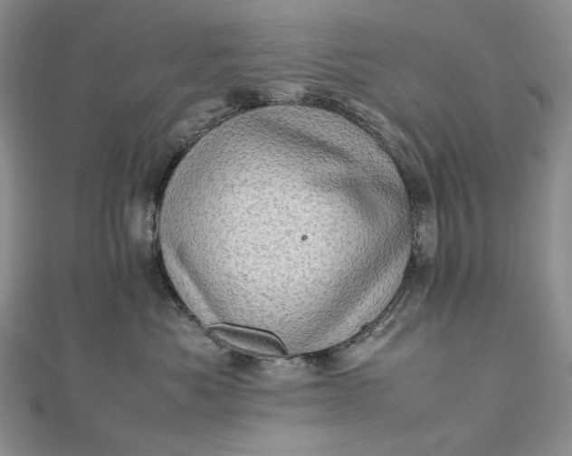 X0000112490525200908311434