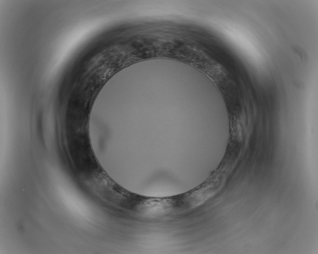 X0000112490526200908311434