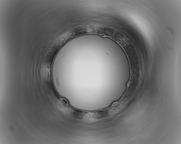 X0000112490527200908311434