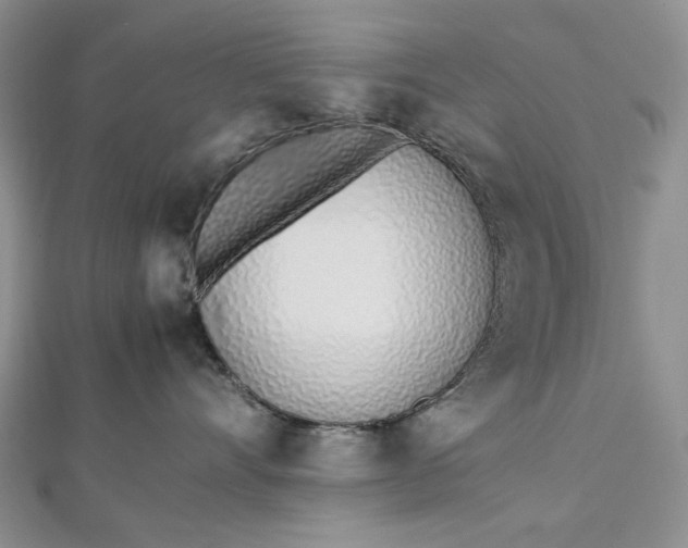 X0000112490528200908311434