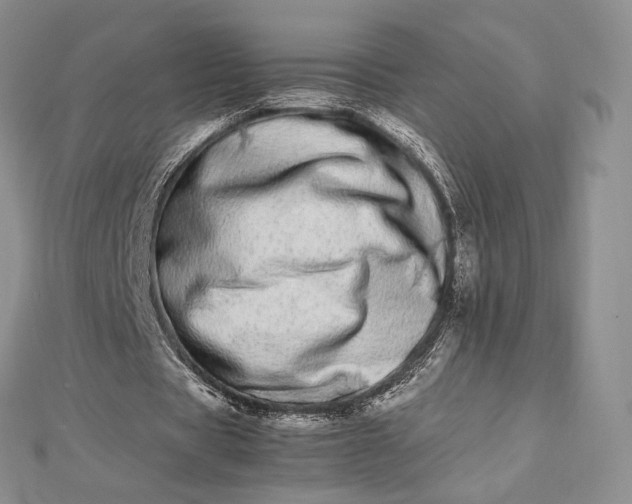 X0000112490529200908311434